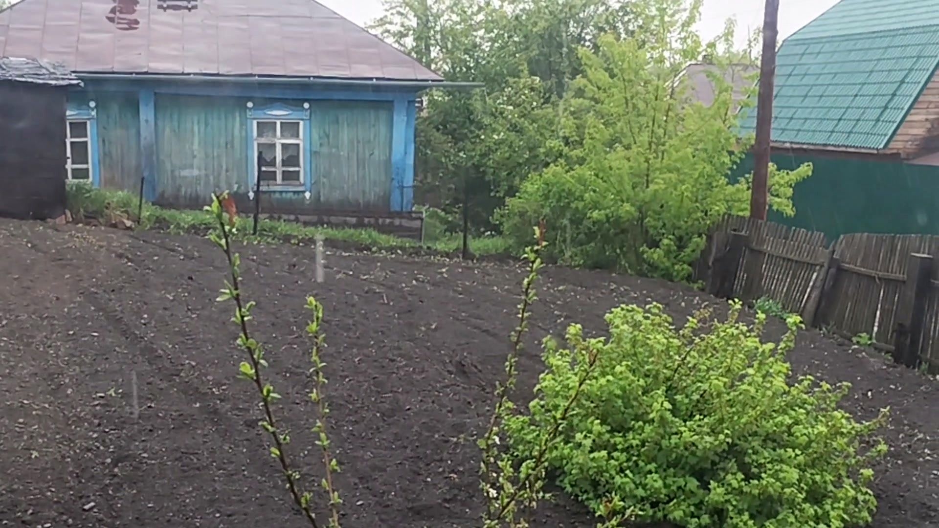 Мой город Дождливое воскресенье. Мишка не любит дождь! 🌧️  24-05-2026