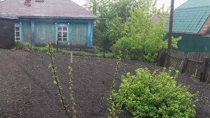 Мой город Дождливое воскресенье. Мишка не любит дождь! 🌧️  24-05-2026