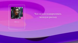 Чем нельзя подкармливать молодую рассаду