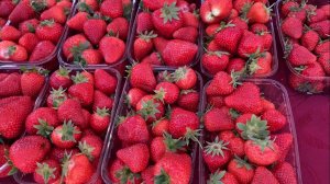 ✅ фестиваль клубники 🍓сама ягода 350 р/кг 🍓 успела до грозы ☀️