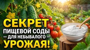 Я полил огород СОДОЙ — результат ШОКИРОВАЛ всех!