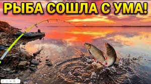 Рыба клюёт прямо под ногами. Огромные лапти на закидушку. Рыбалка на севере.