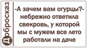 -А зачем вам огурцы?- небрежно ответила свекровь, у которой мы с мужем все лето работали на даче