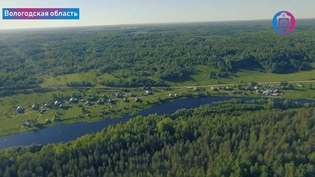 Когнитивная Витаминка № 337