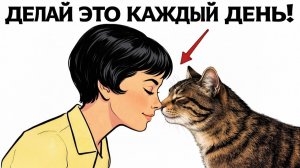 15 Знаков Любви, о Которых Ваша Кошка МЕЧТАЕТ Всю Жизнь!