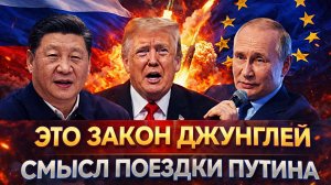«Это закон джунглей»// Раскрыт истинный смысл поездки Путина в Китай! Россия забирает под себя Запад