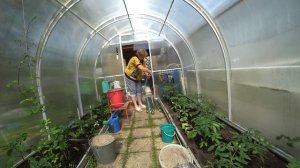 Посиделки с ЛЮБАШЕЙ. Вкусная проба , намазка из авокадо. Не уютно без карниза. Подпорки для томатов.