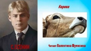 С.Есенин «Корова». Читает Валентина Шумихина.