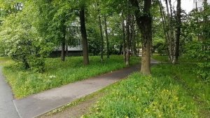 Погода в Санкт-Петербурге на данные сутки