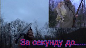 Отличные трофеи на вечерней тяге! Ефрату надоела такая охота!