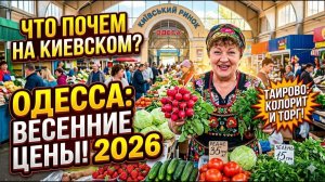 По чем в Одессе забор покрасить? Цены, торг и настоящий одесский колорит!