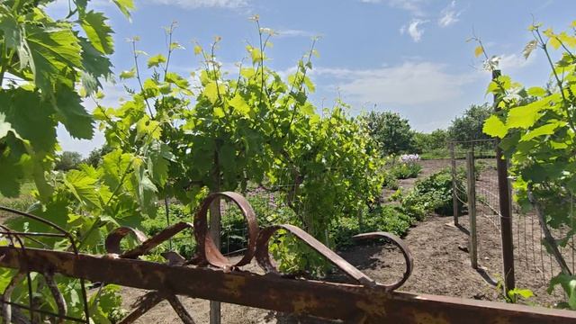 продажа дома Калининская смотреть онлайн