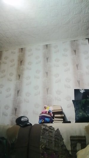 Чтение романа.