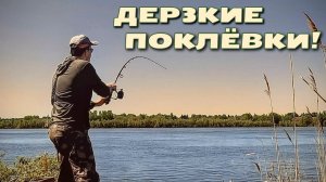 Отдай фидер! Крупный язь едва не утащил снасть! Рыбалка 2026.