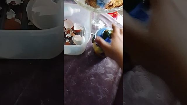делаю кристал смотреть онлайн