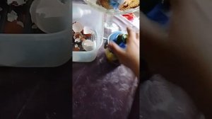 делаю кристал