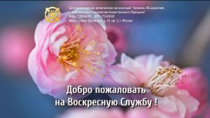 Воскресная служба от 24.05.2026. Проповедник: Александр Тимофеев