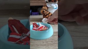 кормёжка тигра 🐯🥩