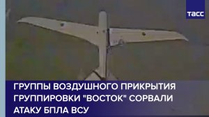 Группы воздушного прикрытия группировки «Восток» сорвали атаку БПЛА ВСУ