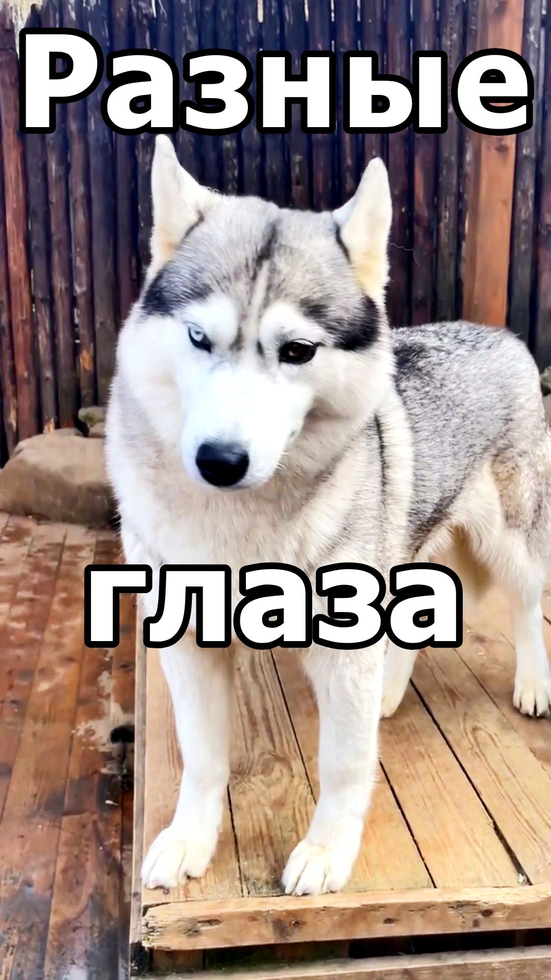 ИДИ ОБНИМАЙСЯ ТОЛЬКО АККУРАТНО смотреть онлайн