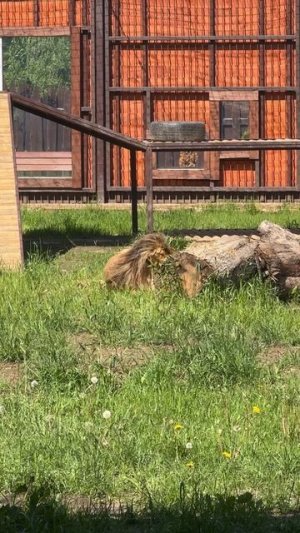 Спрятался