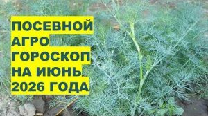 Посевной календарь на июнь 2026: благоприятные и неблагоприятные дни, таблица, важные даты