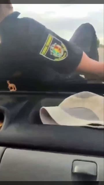 ТЦКашник, катание на капоте))) смотреть онлайн