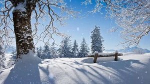 Снежные хлопья И.Штраус. Созидательная сила музыки