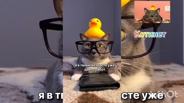 Эфир канала Котинет