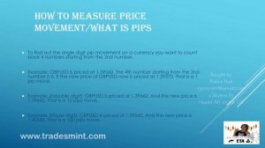 8. How to measure Currency Price Movement (Pips)