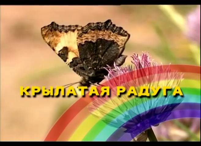 Крылатая радуга (2010) смотреть онлайн