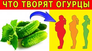Огурцы Польза и Вред для организма