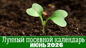 Подробный ПОСЕВНОЙ КАЛЕНДАРЬ НА ИЮНЬ 2026. Что и когда посеять в июне по лунному календарю