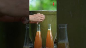 Повседневная жизнь