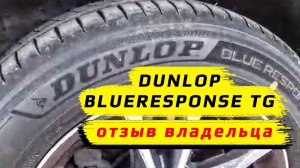 Dunlop Blueresponse TG - отзыв владельца летних шин