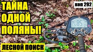 ТАКОЕ СЛУЧАЕТСЯ РАЗ В ЖИЗНИ! УНИКАЛЬНАЯ НАХОДКА В ЗАГАДОЧНОМ ЛЕСУ!  коп 292