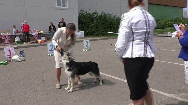 Даюна с Планеты Альфа смотреть онлайн