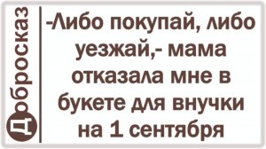 -Либо покупай, либо уезжай,- мама отказала мне в букете для внучки на 1 сентября