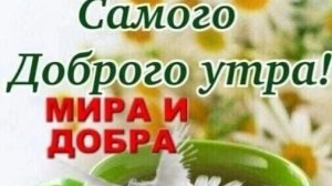 УТРЕННЯЯ ПОЧТА! ВАСЕВСКИЙ НАПОЛЕОН! КЛУБНИКА 🍓 ДАИРИНКА!