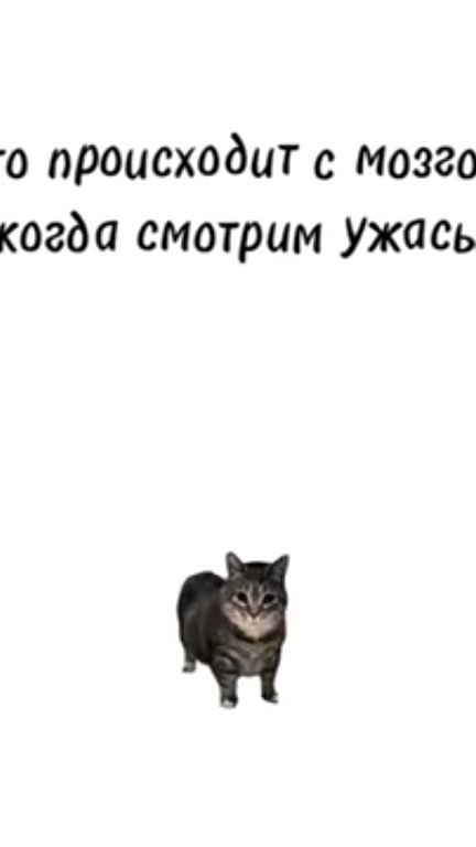 Что происходит с могзогм когда мы смотрим ужастик? смотреть онлайн