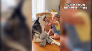 This Baby's Best Friend Has Four Legs