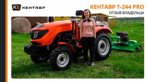 Размер не решает! Как трактор Кентавр Т-244 стал лучшей заменой большому ЛТЗ на участке 4,5 га