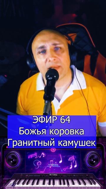 Божья коровка - Гранитный камушек 1 Клондайс ЭФИР 64 смотреть онлайн