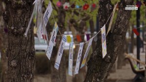 «Важно чтить и помнить»: как в Братске отметили День славянской письменности