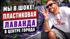 Обзор городского озеленения в центре Москвы. Плюсы и минусы