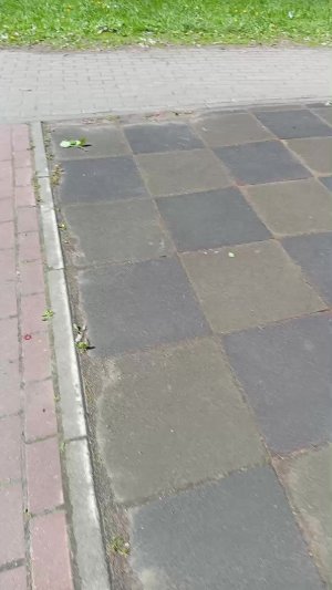 дрон