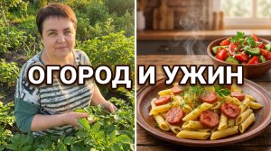 Мои домашние хлопоты: от лапши до огорода