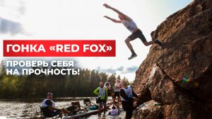 RedFox: Захватывающее интервью с большой командой RedFox