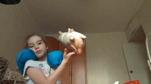 день в моем цвете