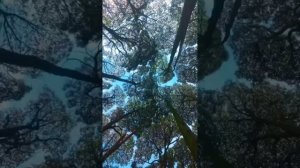 красивая природа.mp4
